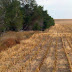 10,000+ acres of Grounds