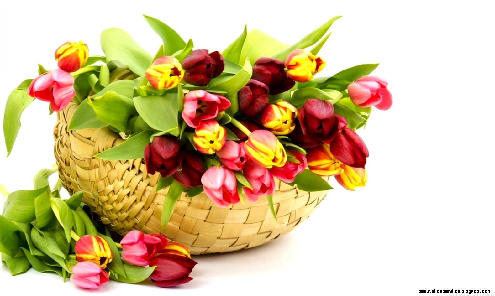 Red Yellow Flowers Basket Wallpaper On Secret Hunt Red Yellow Flowers Basket Wallpaper On Secret Hunt
