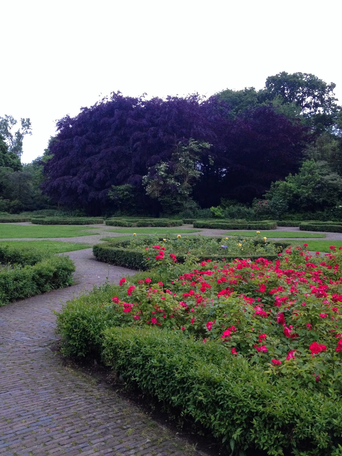 Amsterdam A Day in the Life of Vondelpark