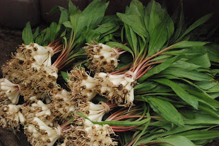 Ramps at the Farmers' Market