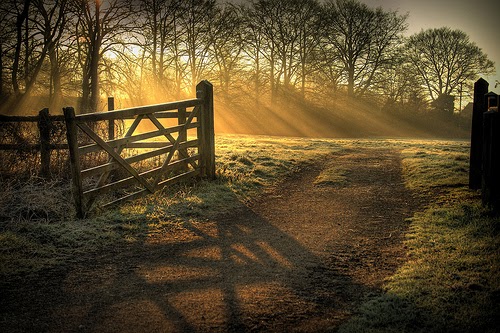 Sunrise on the Farm Gate | Content in a Cottage