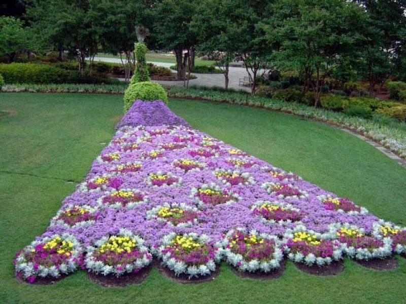http://3.bp.blogspot.com/-SMjG_reEQG8/UM7Bbeh4tnI/AAAAAAAAOF8/4Olk6Sj6bL4/s1600/garden+of+flowers.jpg