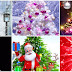 Feliz Navidad - Tarjetas gifs animadas para compartir y decorar los muros de facebook