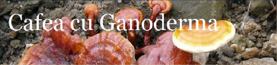 Cafea cu Ganoderma