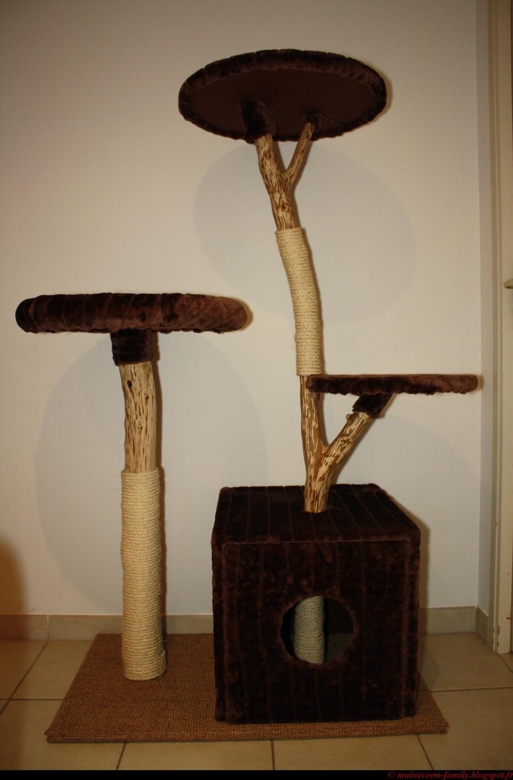 vends arbre 224 chat en bois naturel vends arbre 224 chat en bois naturel