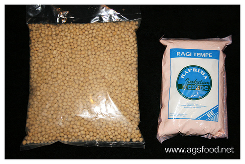 Proses Pembuatan Tempe