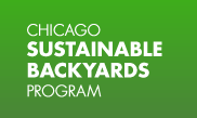 Chicago Sustainable Backyards