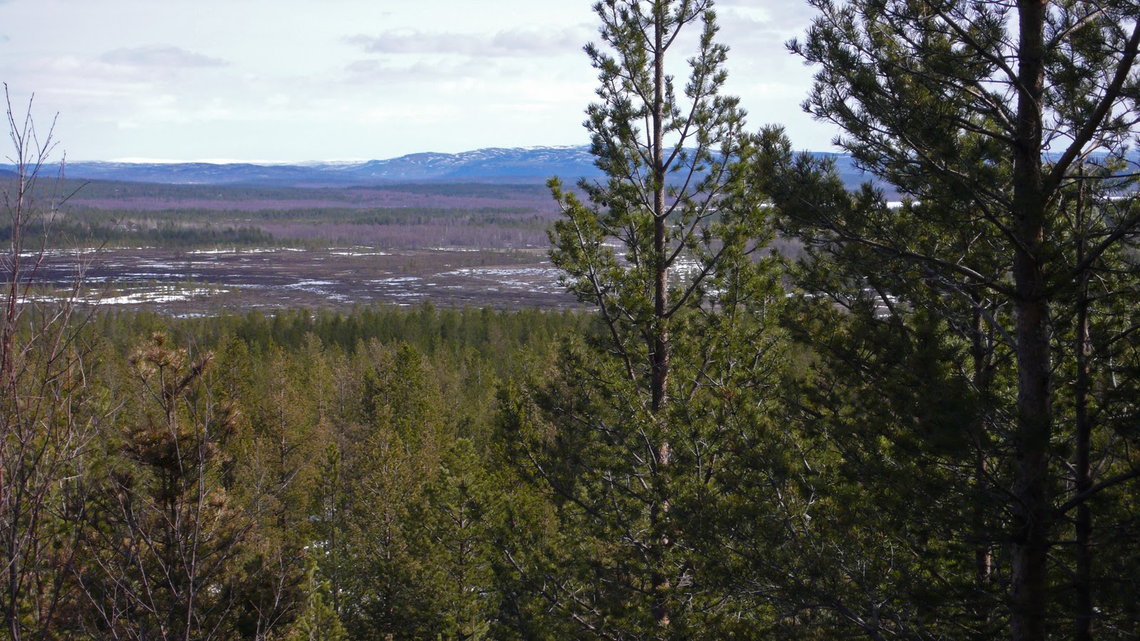 rencontres parisiennes de la retraite active