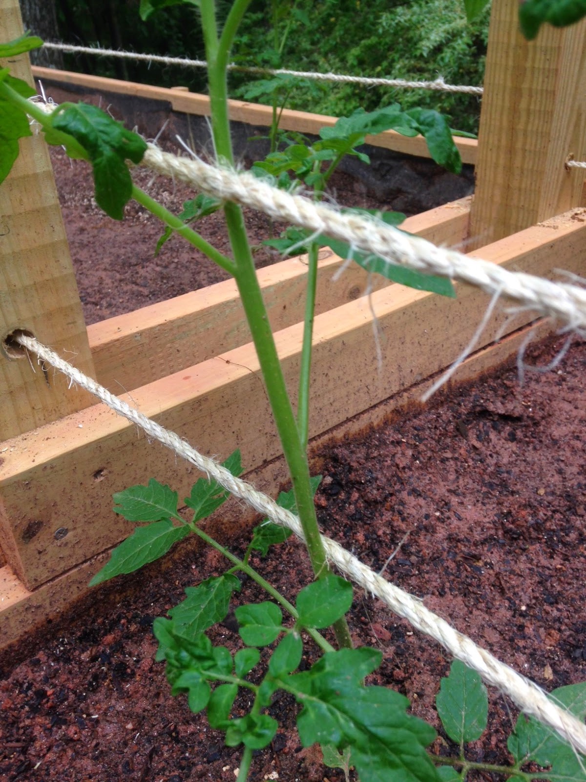 [Insert Something Creative] Drop the Bass and Do the Florida Weave, Y'all!