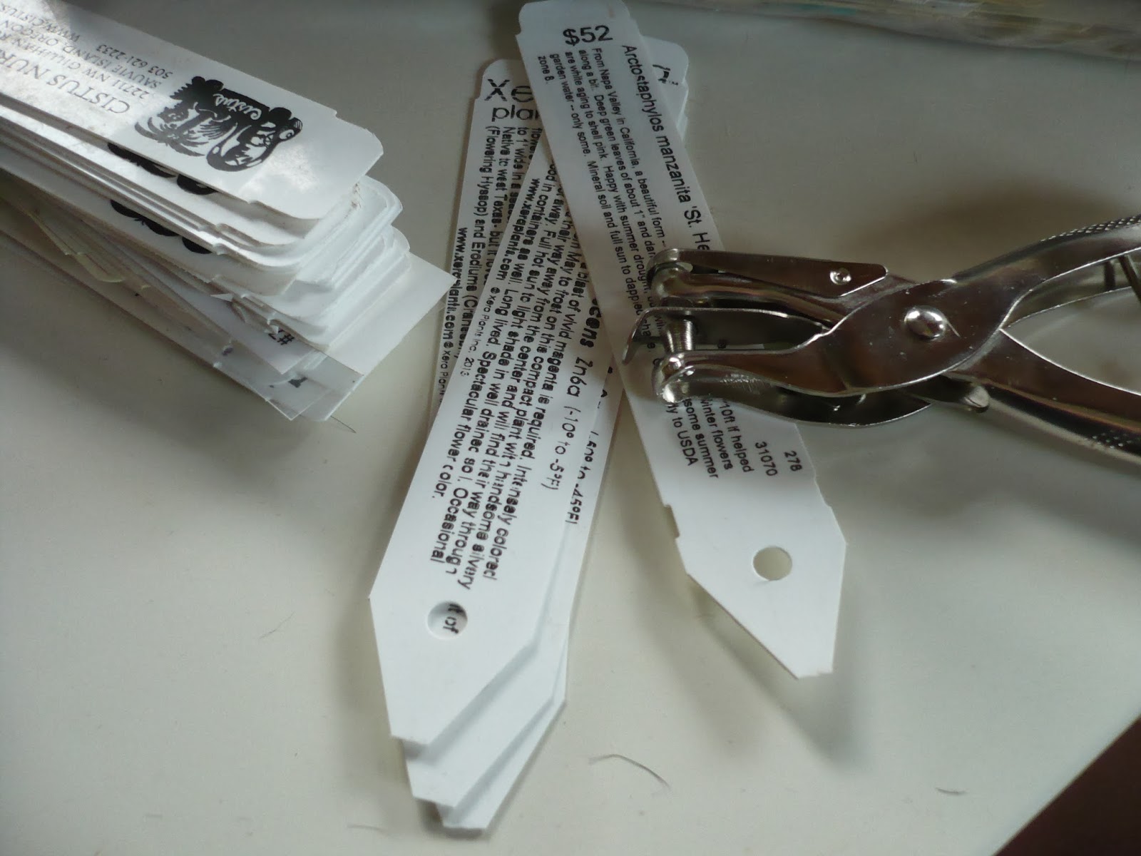 Whatsitgarden A key ring and a hole punch