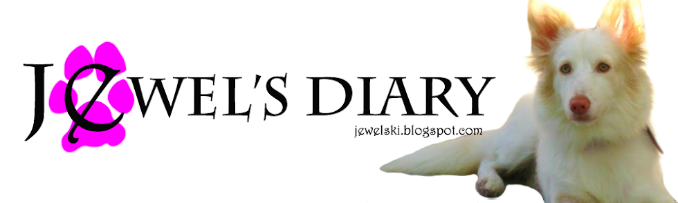 Jewel's Diary