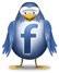 Follow MaReRi
