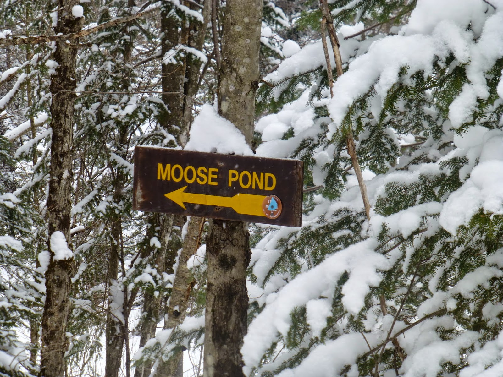 Off on Adventure XC to Moose Pond High Peaks Wilderness, 2
