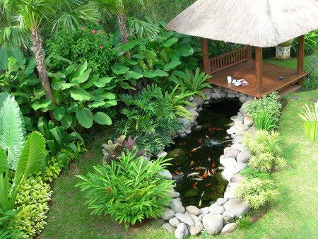 contoh-kolam ikan pada taman-desain | freewaremini