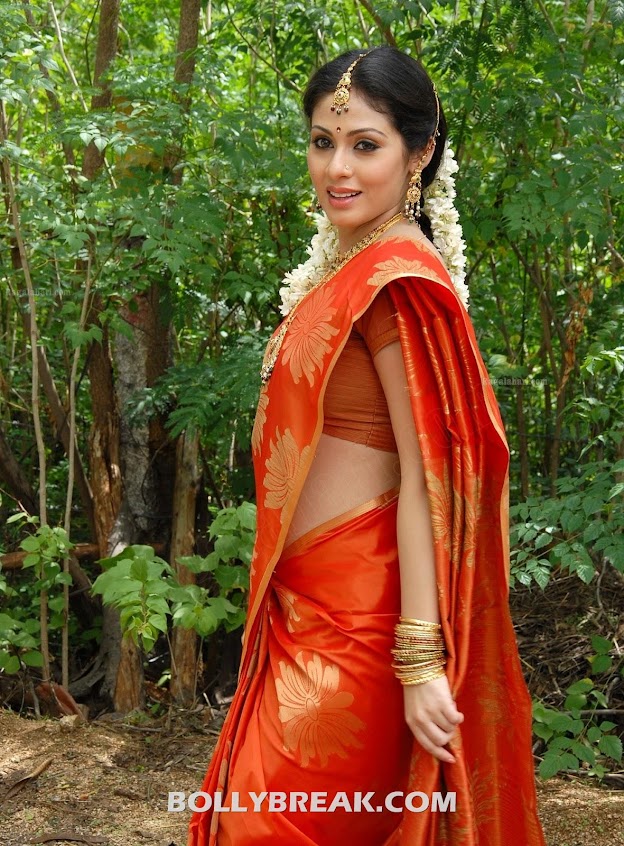 Sada looks exceptionally beautiful in this orange and gold sari -  Sada in Orange Saree photos