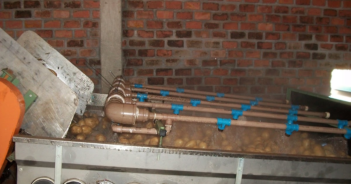 L. L. C. MÁQUINAS Máquina de lavar batata