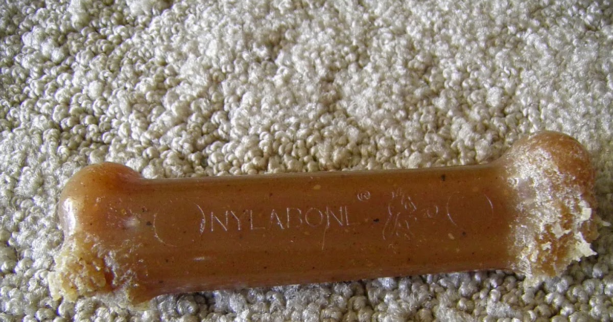 Just A Pup Nylabone Vomit