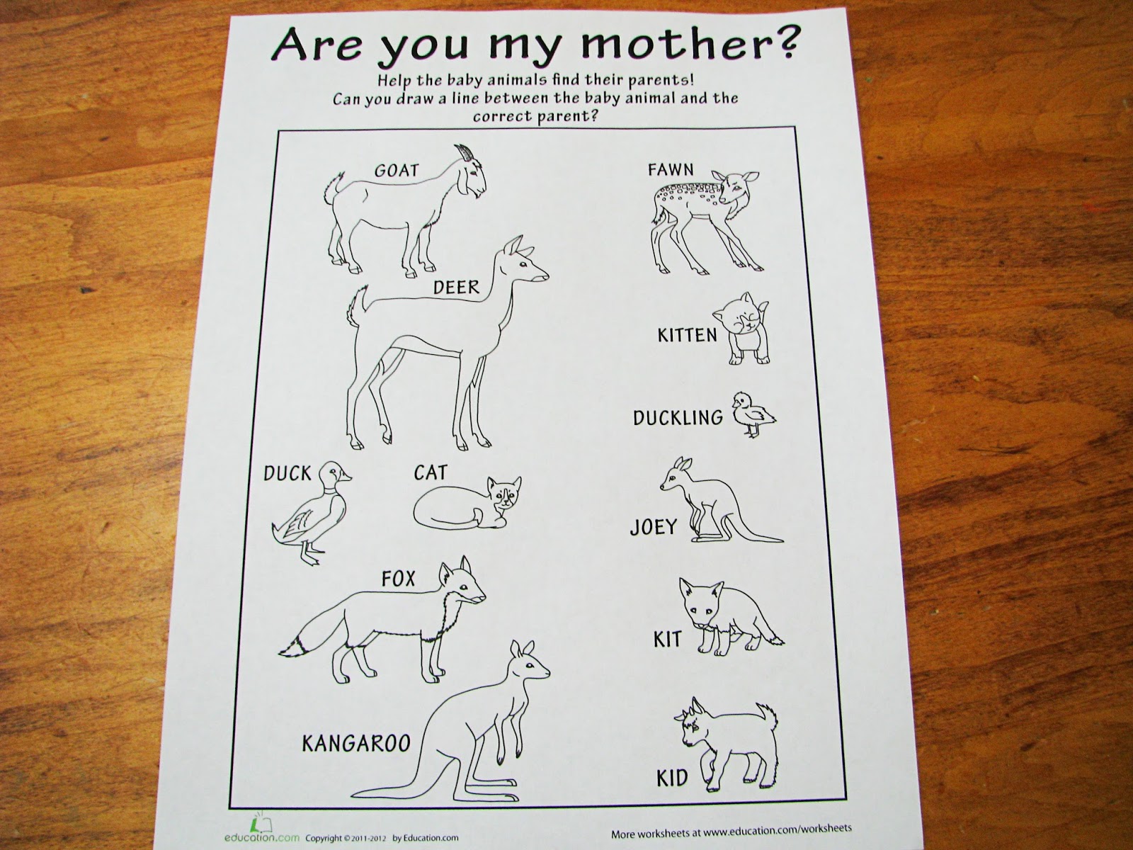 Mommy's Little Helper Baby Animals Preschool Theme