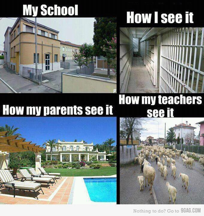 FUNNY STUDENT PICS Funny Pics