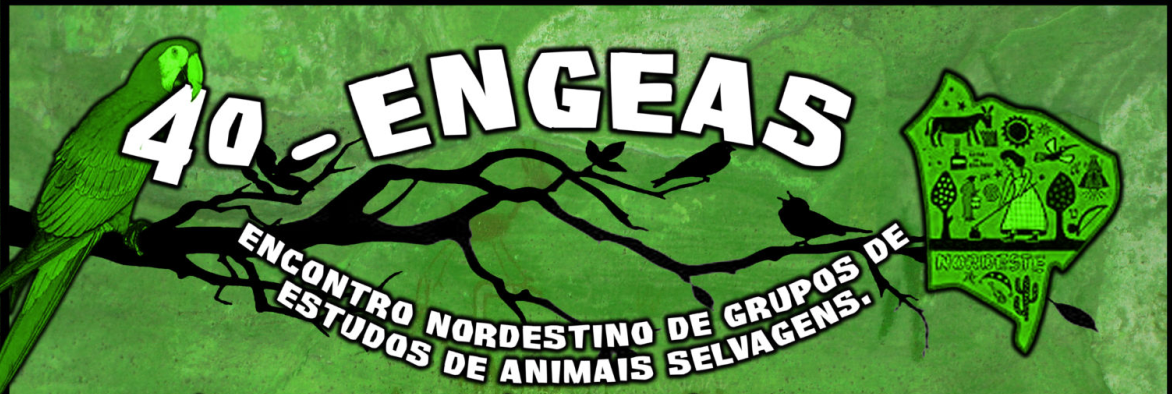 ENGEAS - Gbio
