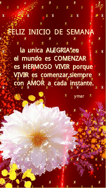 Resultado de imagen para gifs animados de feliz semana