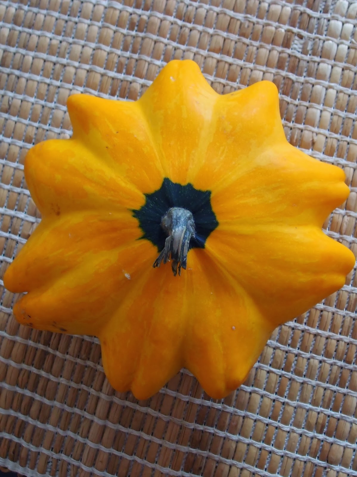 The VegHog Flying saucer squash pies