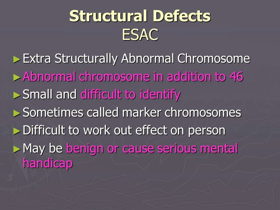 Slide 42