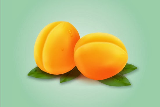 Apricot with the Mesh Tool Apricot with the Mesh Tool