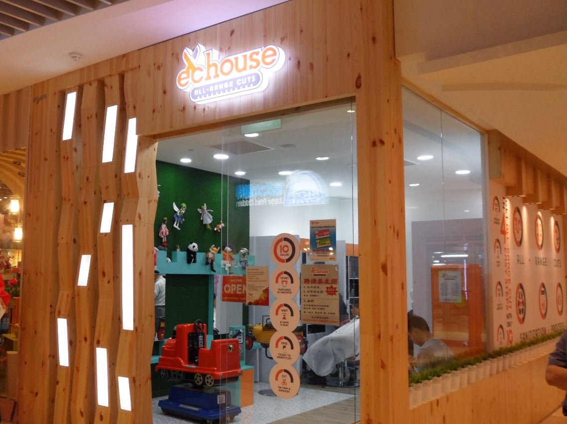 Susan's Blog EC House Express Cut