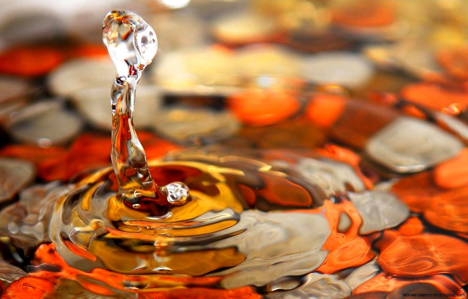 Waterdrops Waterdrops