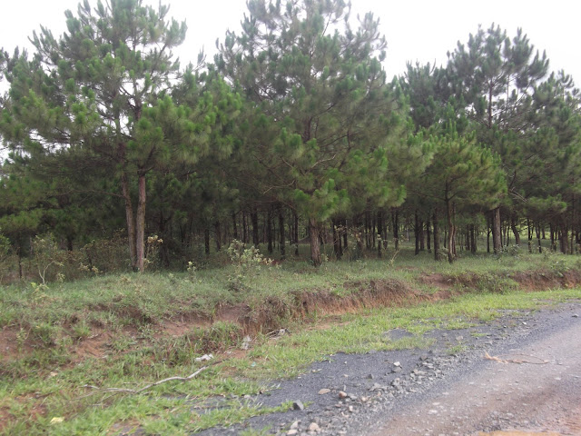 [Hình: DSCF3034.JPG]