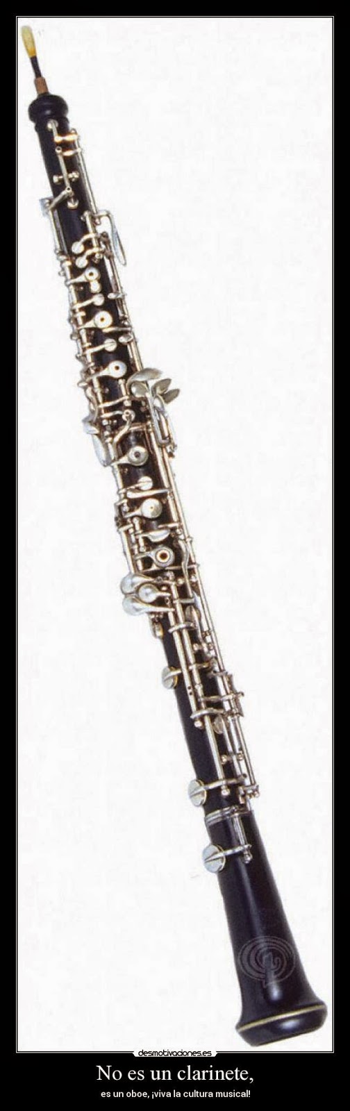 El rincón musical octubre 2014