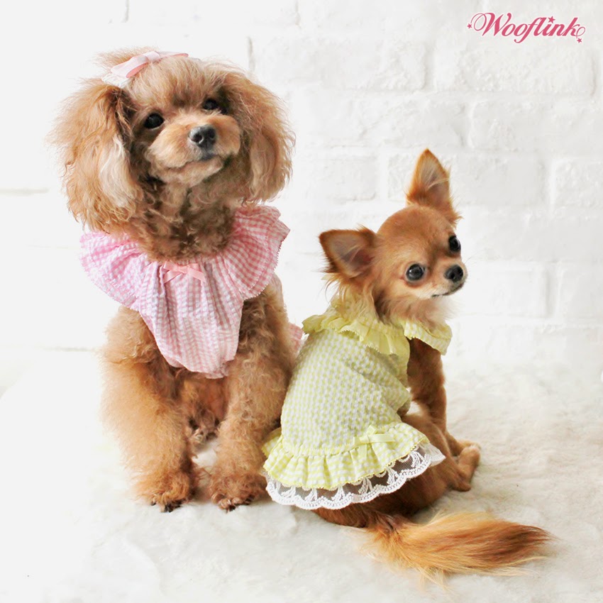WOOFLINK Hip designer dog clothes GINGHAM MINI DRESS ♥