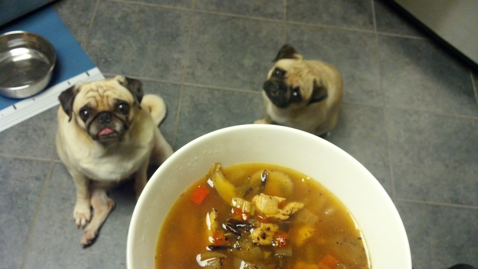 Grubbin' Pugs Wild Rice and Mushroom Soup with Chicken
