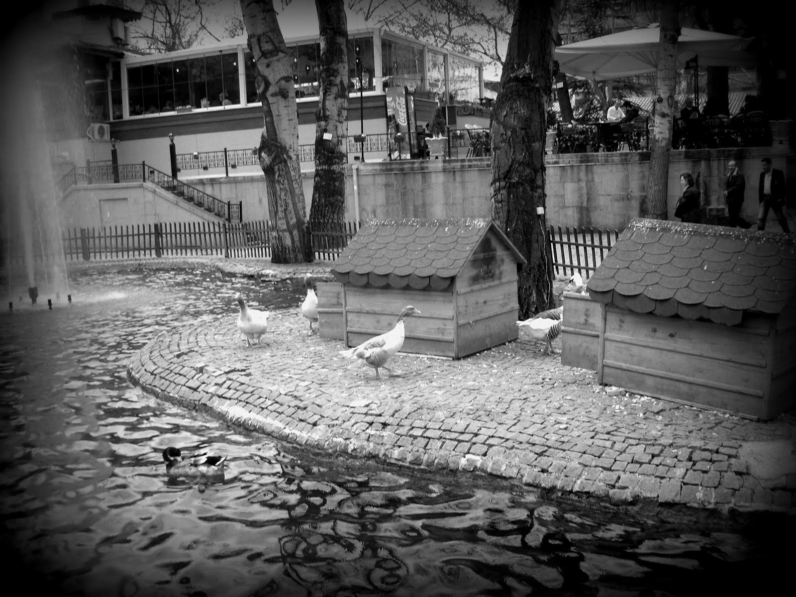 HÜZNÜN TADI Ankara�ya Gidiyorum.