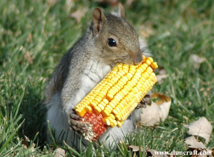 Uncle Macs Garden Shed THE CHILDREN'S HOUR WITH LEATHERFACE