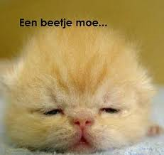 heel moe zijn