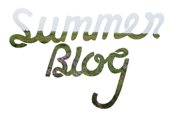 Beth Taylor Summer Blog 