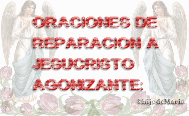 Por amor a ti, ofrezco mi cuerpo como Sacrificio Vivo, Pan de Vida para todos los hombres.