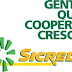 Sicredi PR/SP conquista quarto Top de Marketing consecutivo