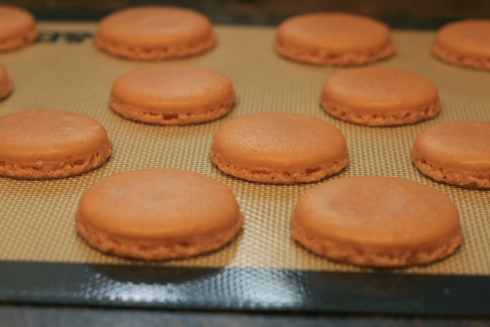 Macaron 102 Step by Step Tutorial for Making Macaron Shells