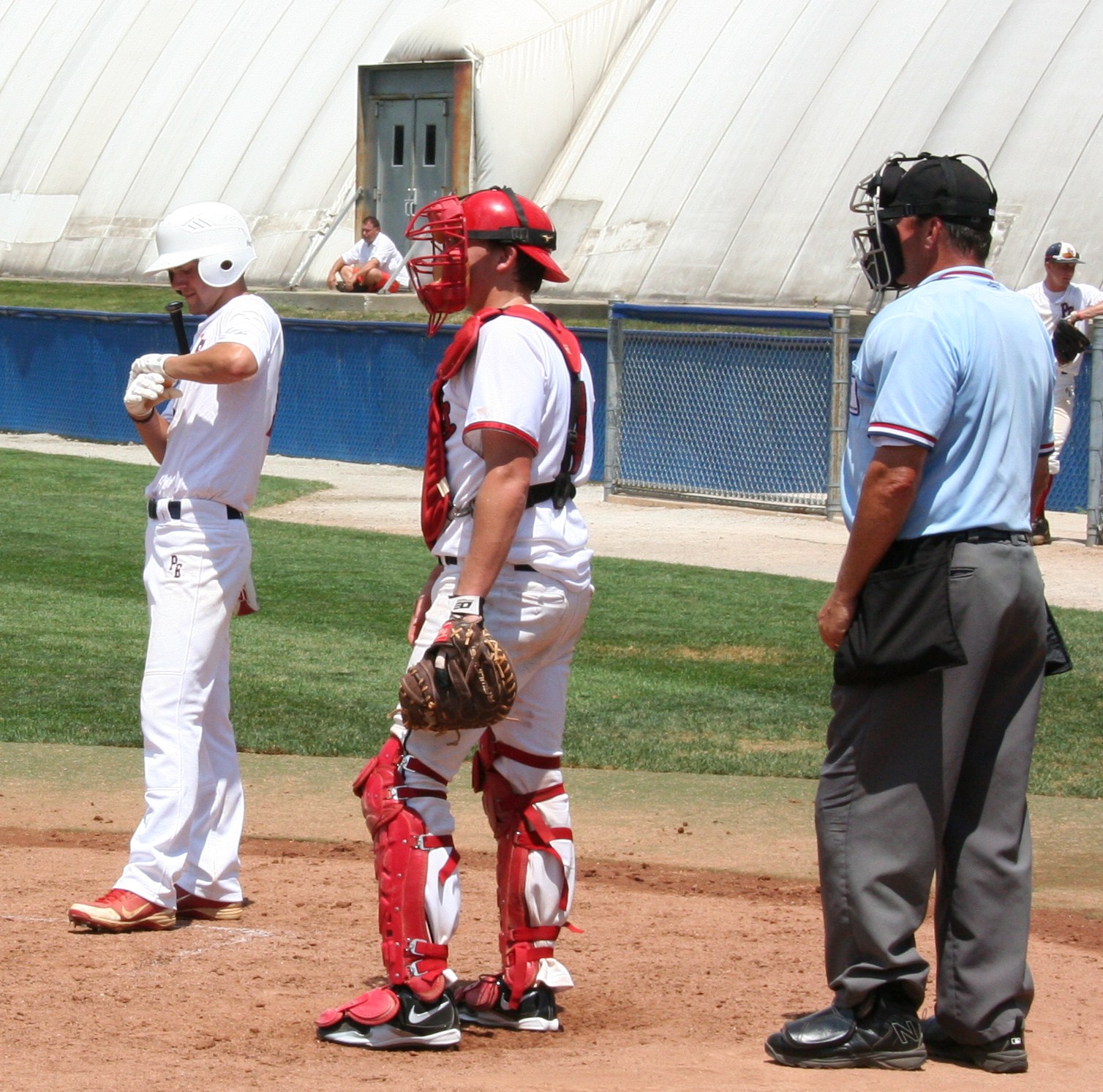 Naptown Sportz by Vince Alexander The Boys of Summer Baseball in