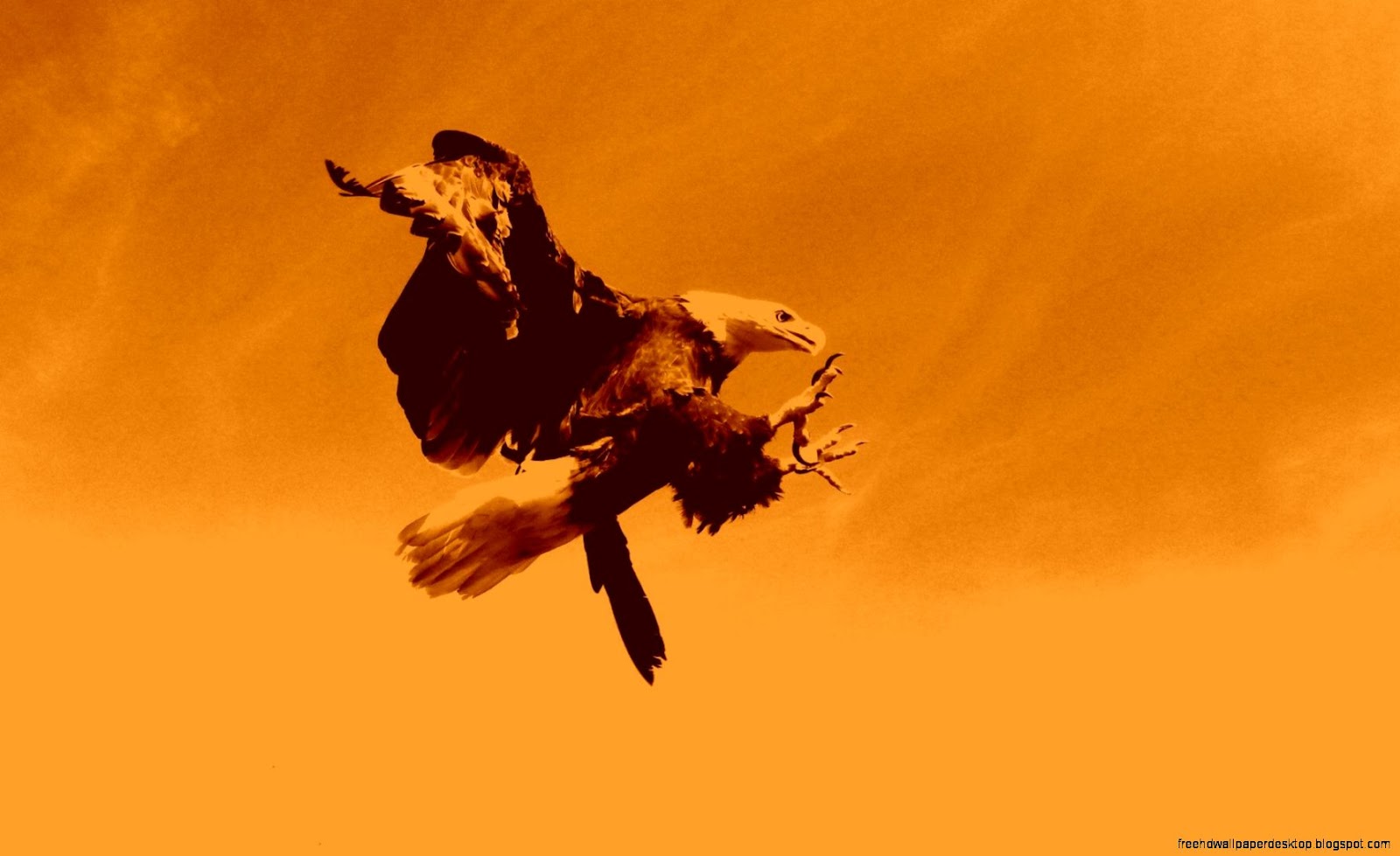 Vintage Bird Hunting Vintage Bird Hunting