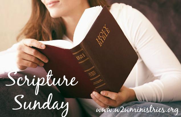 #Scripture #Sunday 