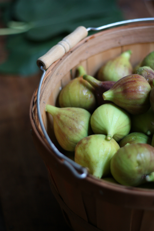 E.A.T. Figs in the Fan