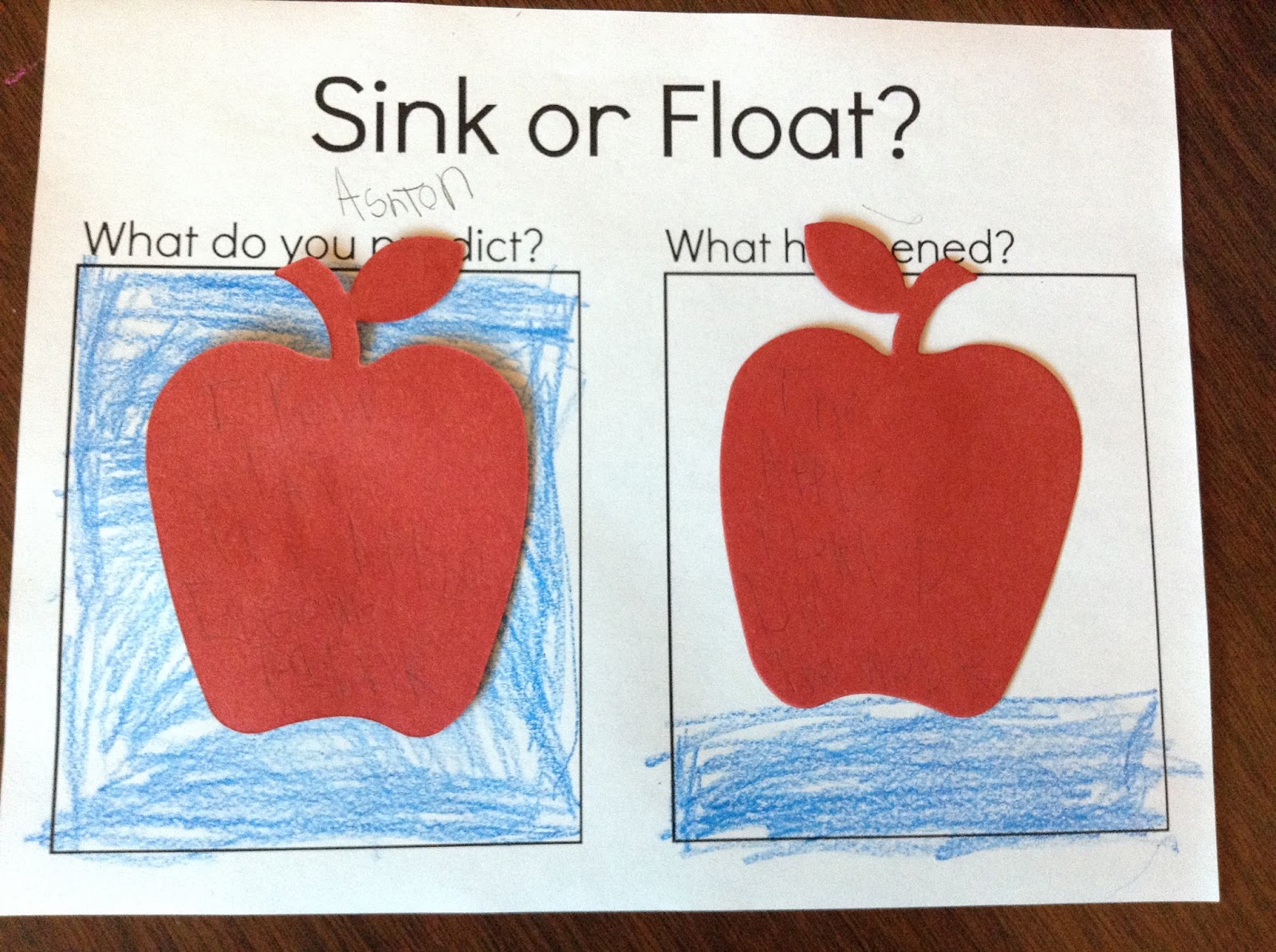 Do Apples Float or Sink? Fort Kindergarten