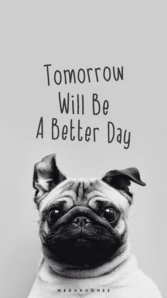 Tomorrow Will Be A Better Day Pug Face  Galaxy Note HD Wallpaper