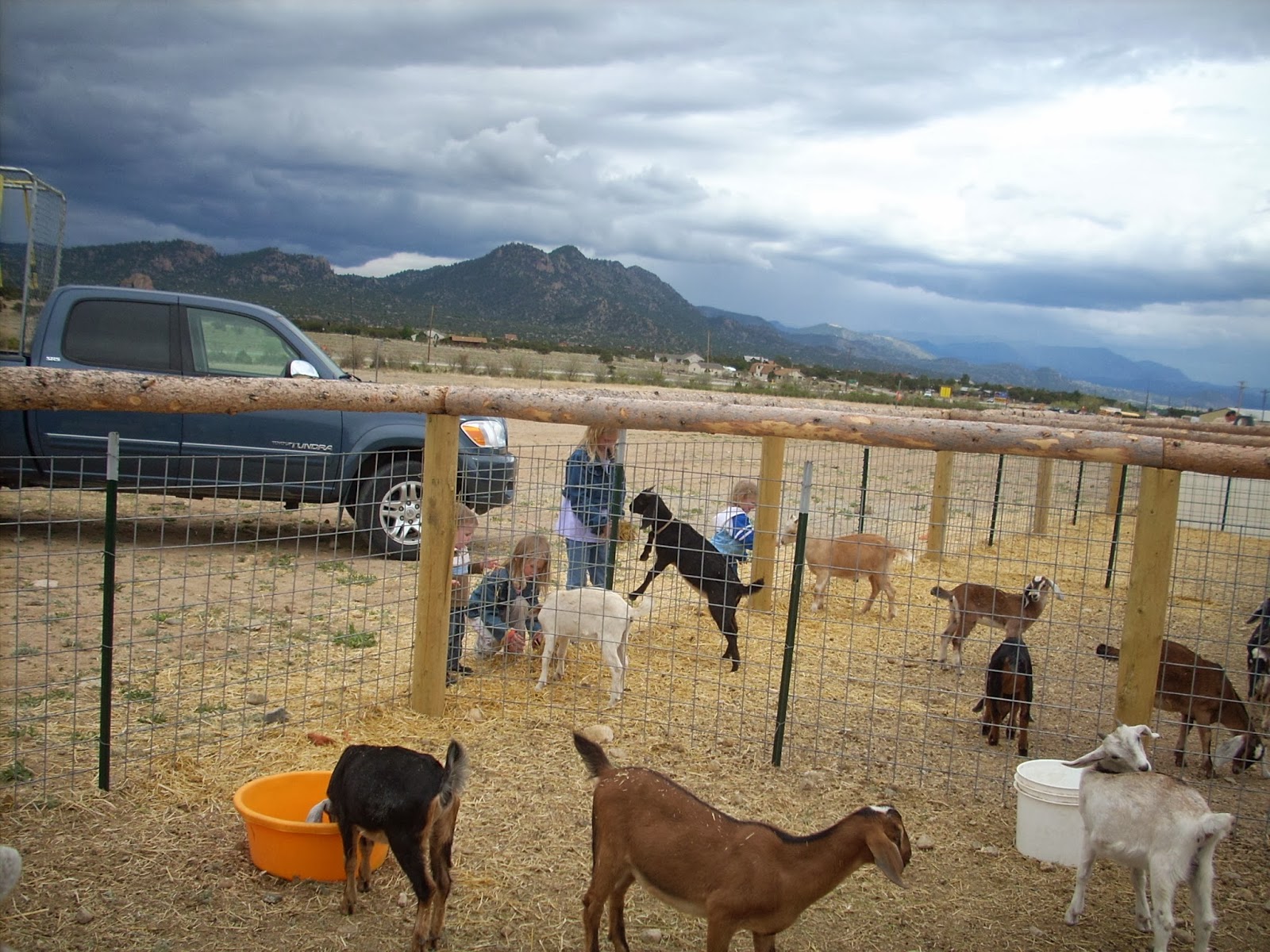 Explore Colorado Jumpin Good Goat Dairy Farm Buean Vista Colorado A