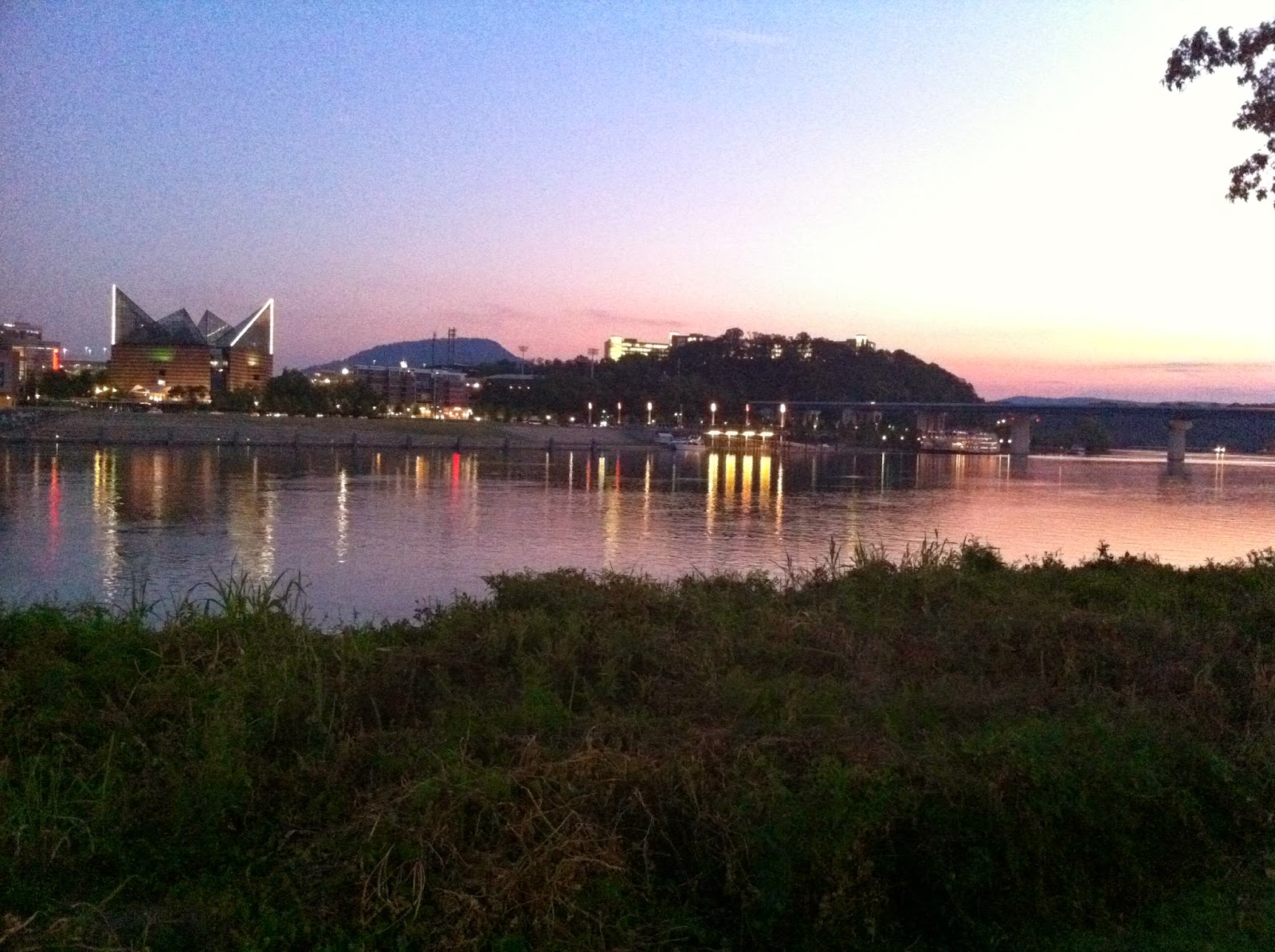 Play Chattanooga The Tennessee Aquarium
