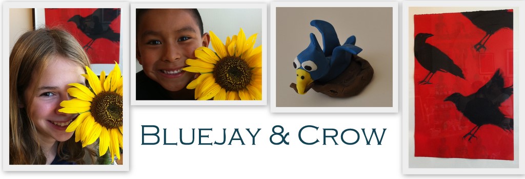 bluejay & crow